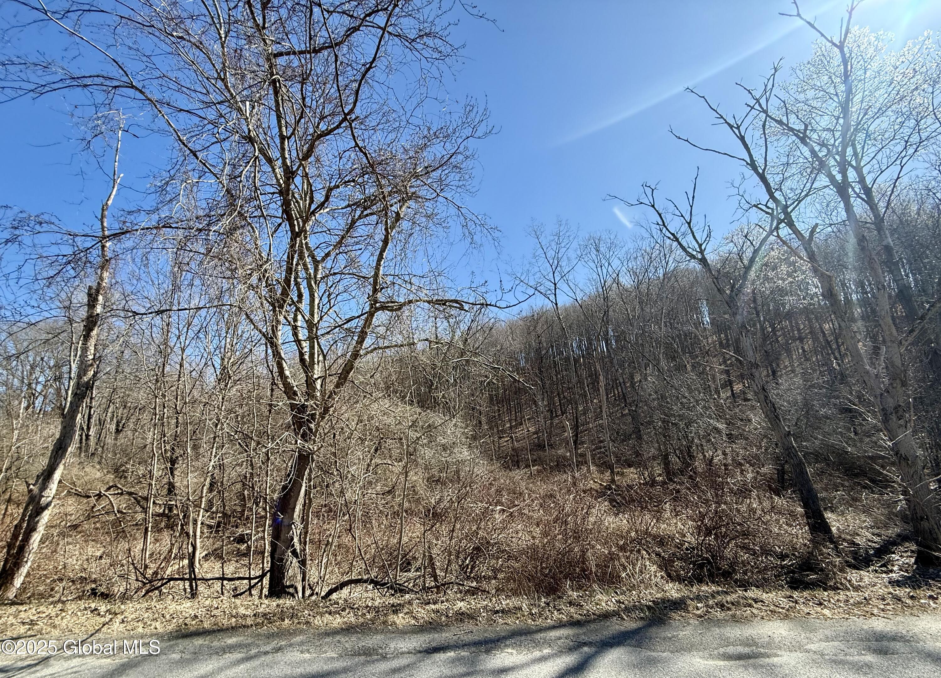 L22 Ryan Road, Greenwich, New York image 9