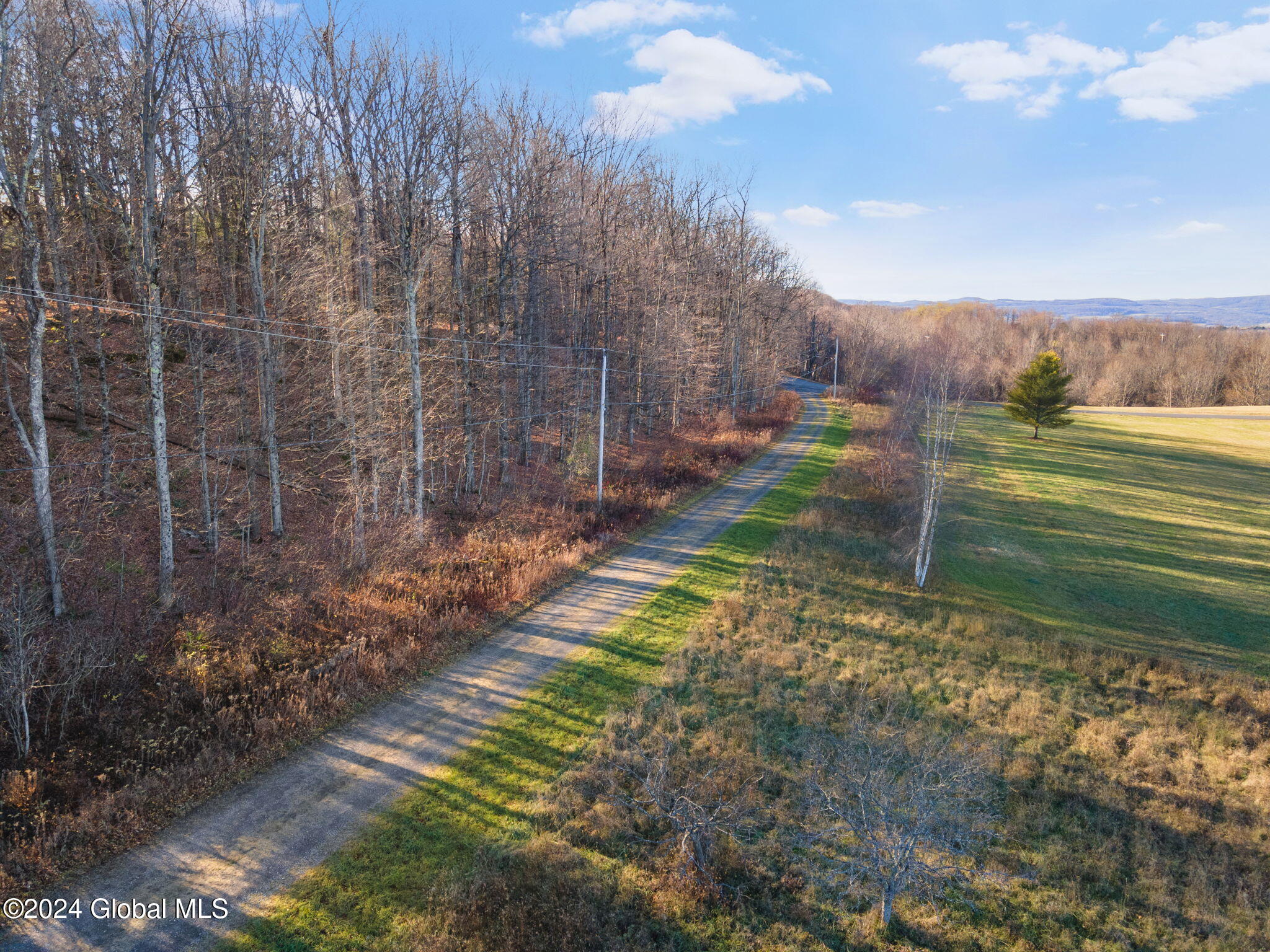 L3.2 Beechwood Road, Sharon Springs, New York image 5