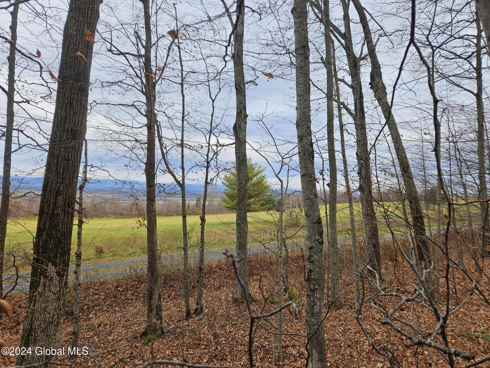 L3.2 Beechwood Road, Sharon Springs, New York image 10