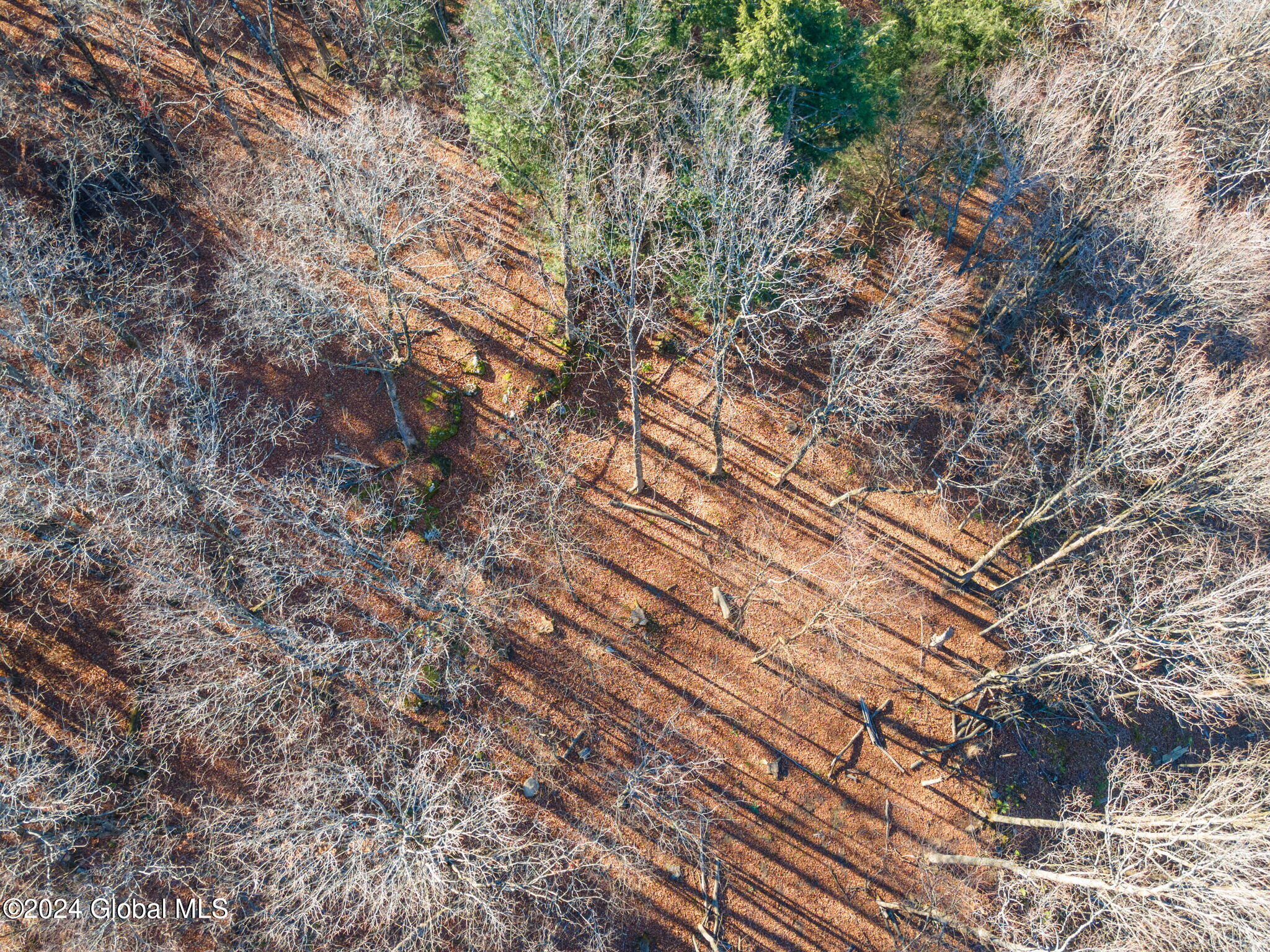 L3.2 Beechwood Road, Sharon Springs, New York image 7