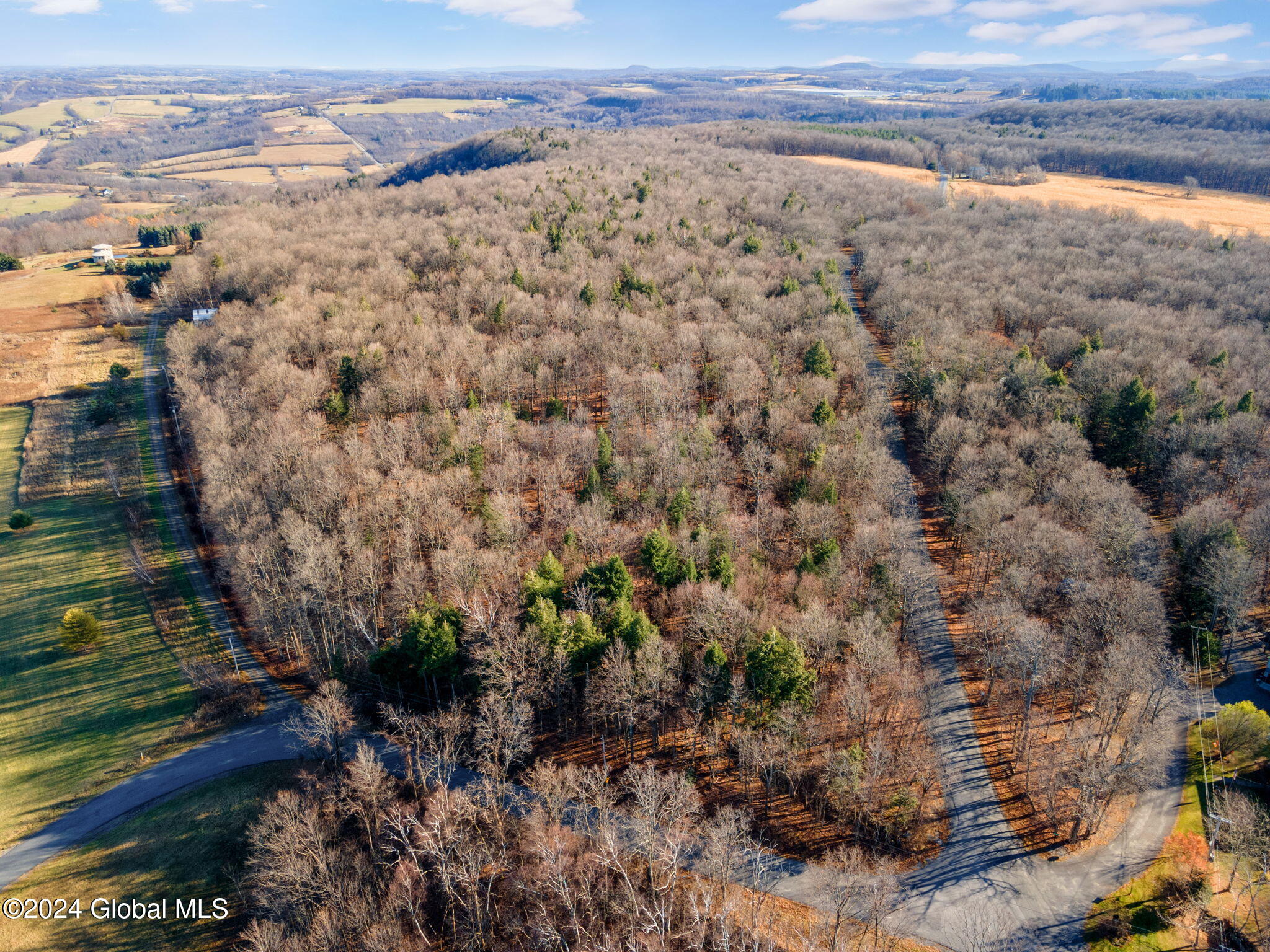 L3.2 Beechwood Road, Sharon Springs, New York image 28