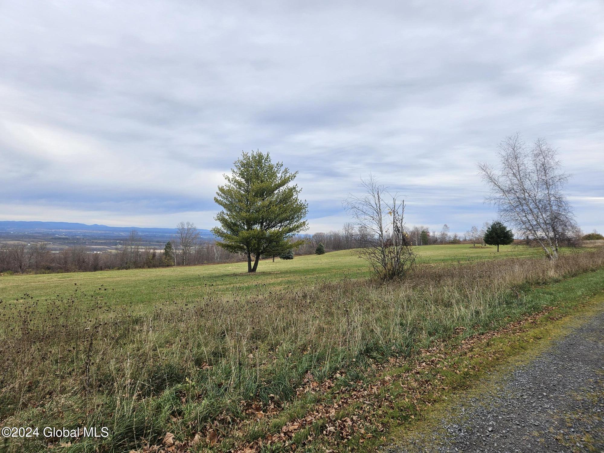 L3.2 Beechwood Road, Sharon Springs, New York image 13