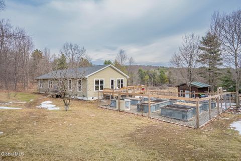 Homes For Sale - 92 Dickensen Road<br/> Buskirk, NY 12028