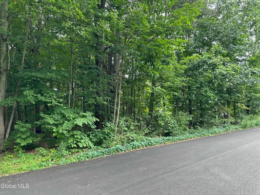 28 CARL AVE, GREENWICH, NY 12834 - Image 195aa5fe83be8a8f11753e3e5c8ba821/3529845692