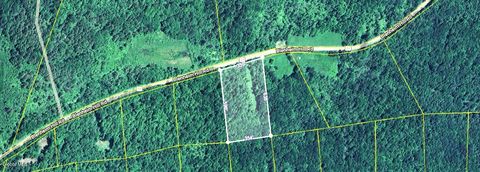 Vacant Land For Sale - L2.29 Blenheim Hill Road<br/> Jefferson, NY 12131