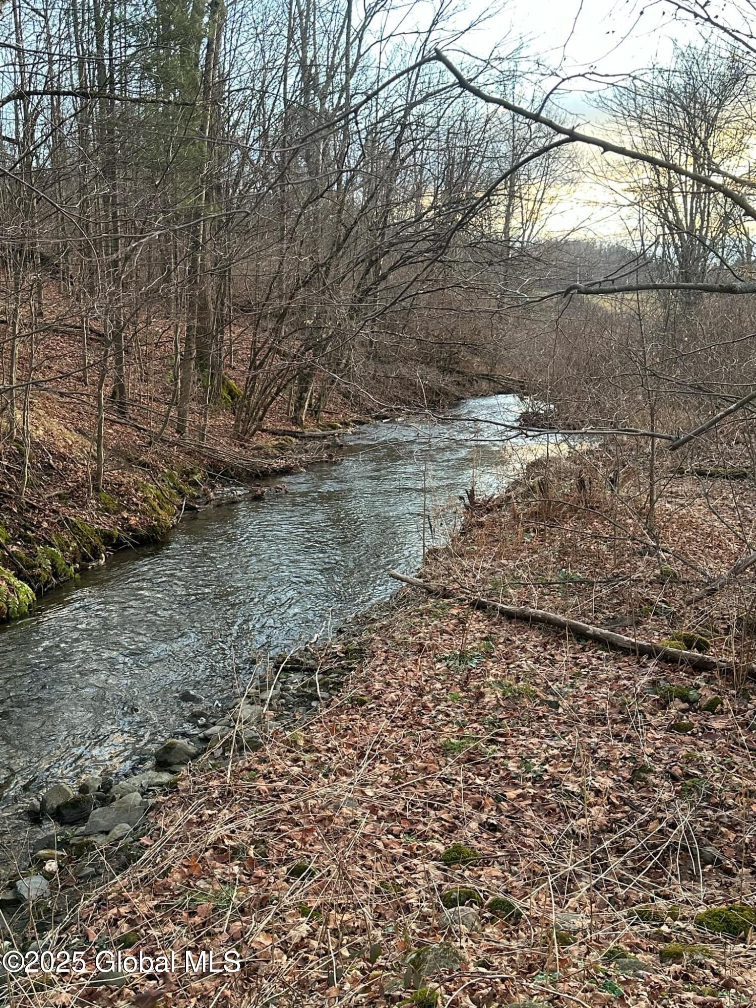 L 12.9 Mountainside Meadow Way, Salem, New York image 4