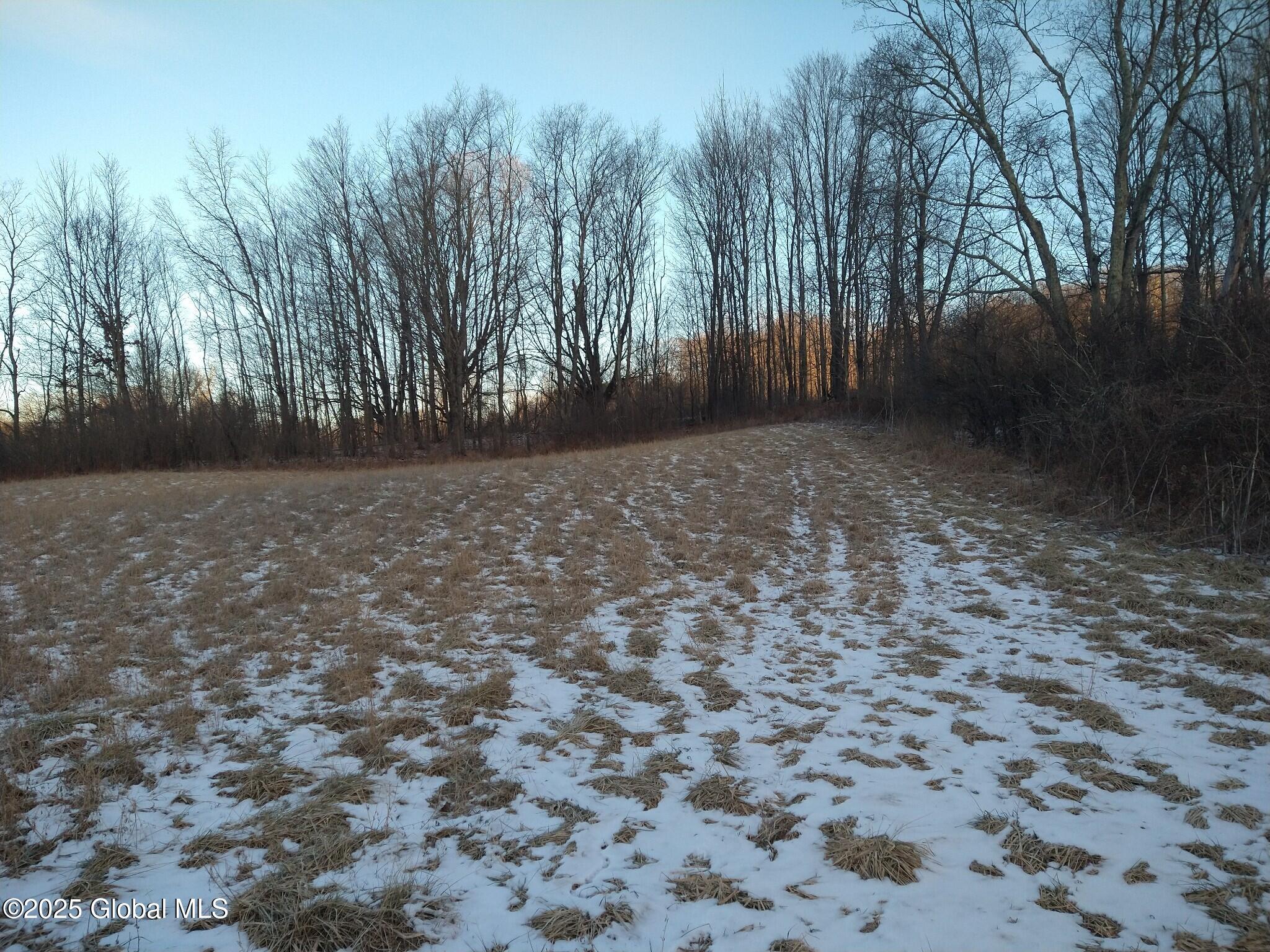 L 12.9 Mountainside Meadow Way, Salem, New York image 14