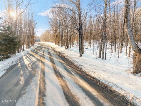 Photo of L1.2 Broome Center Road, Preston Hollow, NY 12469 (MLS # 202613230)