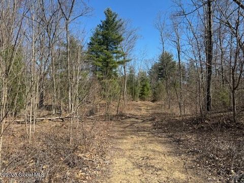 Photo of 69 Plant, Halfmoon, NY 12065 (MLS # 202523368)