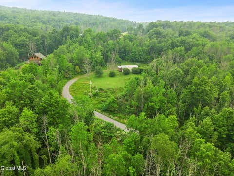 Homes For Sale - 127 Grassy Road<br/> Schoharie County, West Fulton, NY 12131