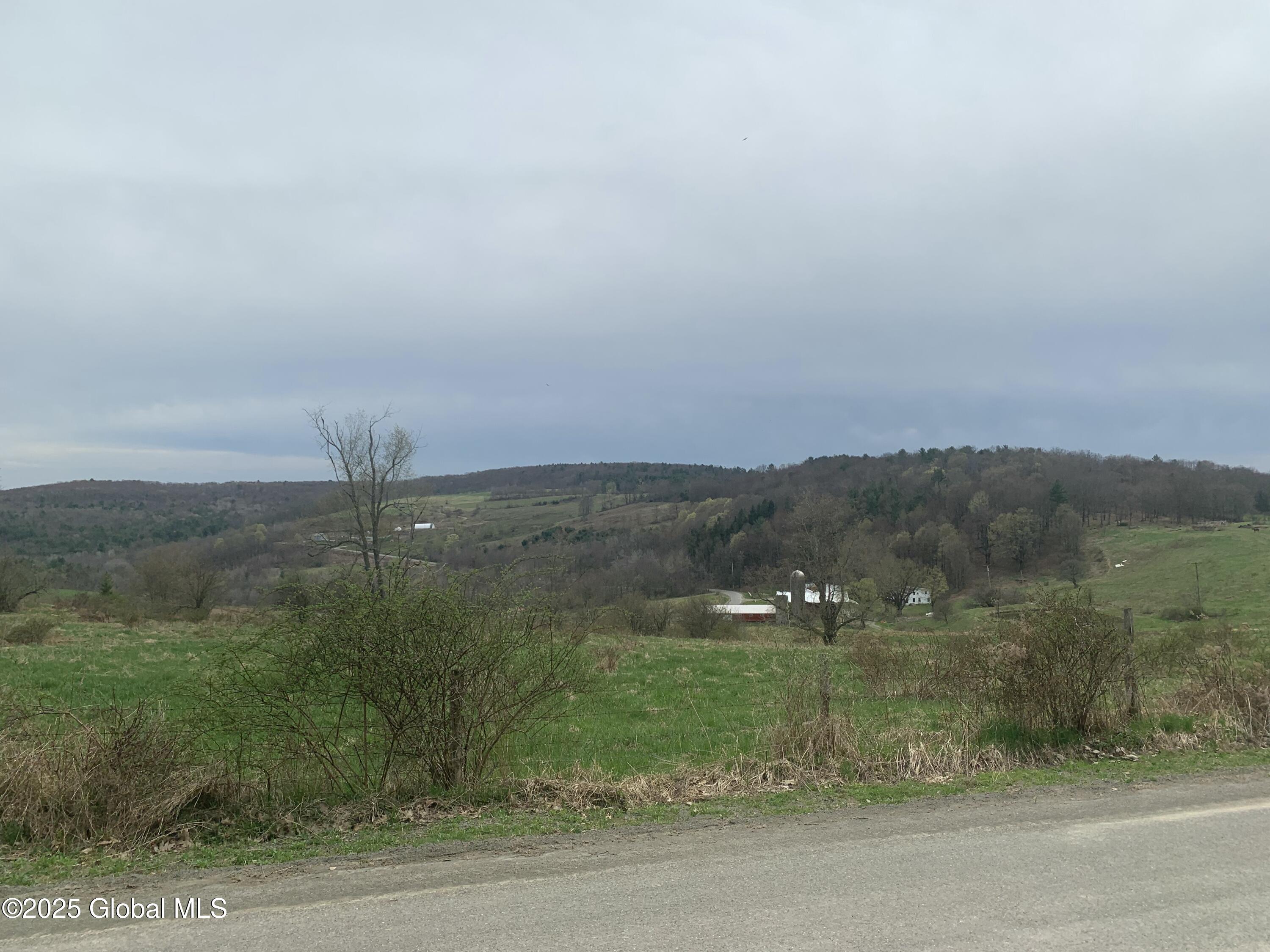 19 Holcomb Road, Port Crane, New York image 1