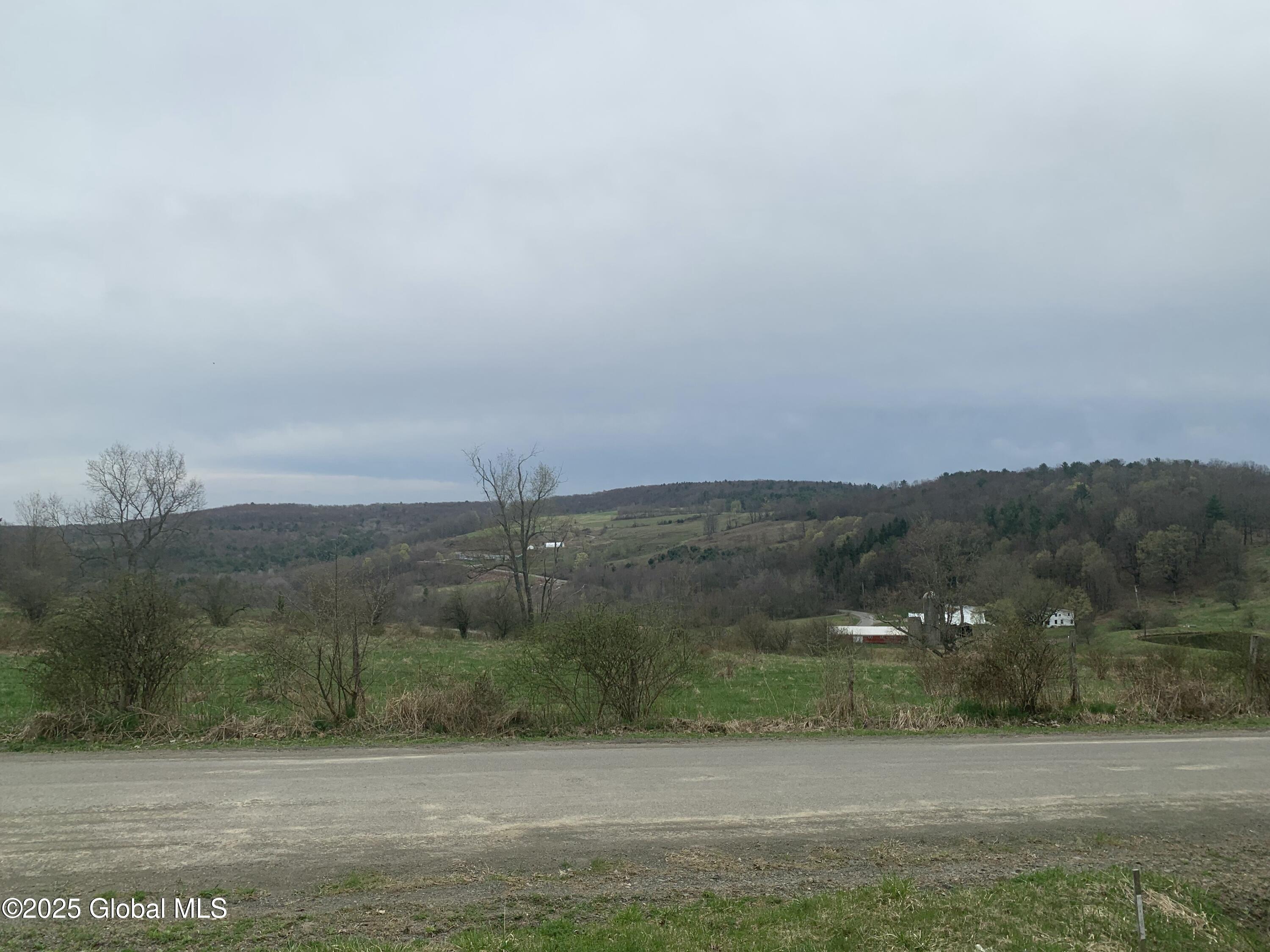 19 Holcomb Road, Port Crane, New York image 2