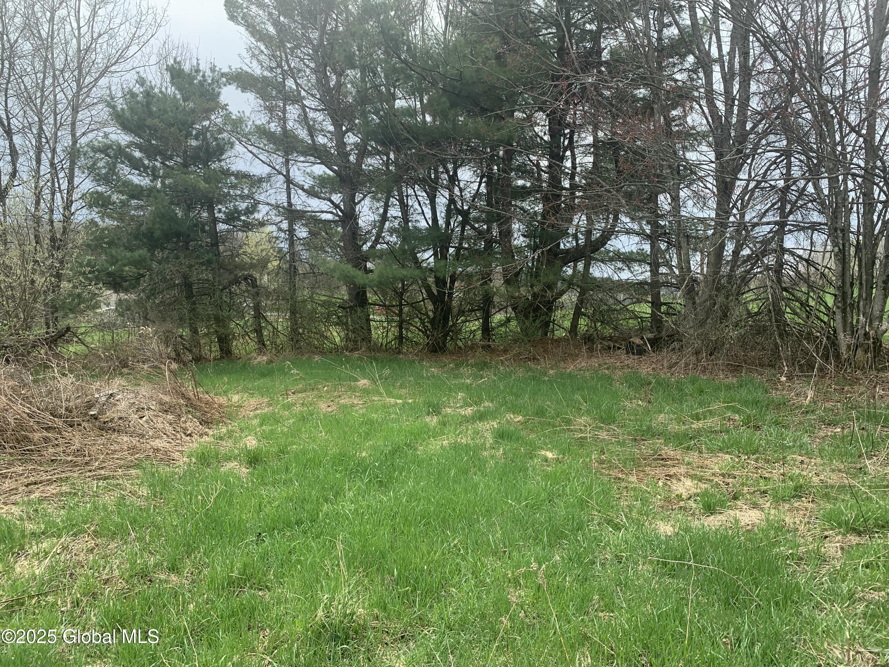 19 Holcomb Road, Port Crane, New York image 7