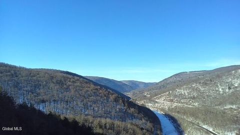 L1 Peakville Road Hancock NY 13783