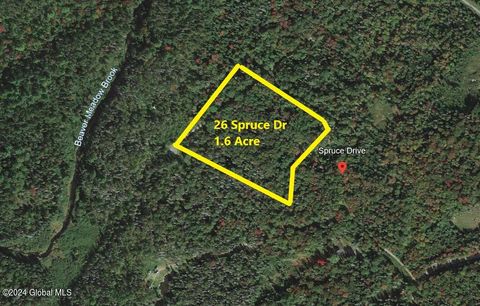 Vacant Land For Sale - 26 Spruce Drive<br/> Hamilton County, Indian Lake, NY 12842