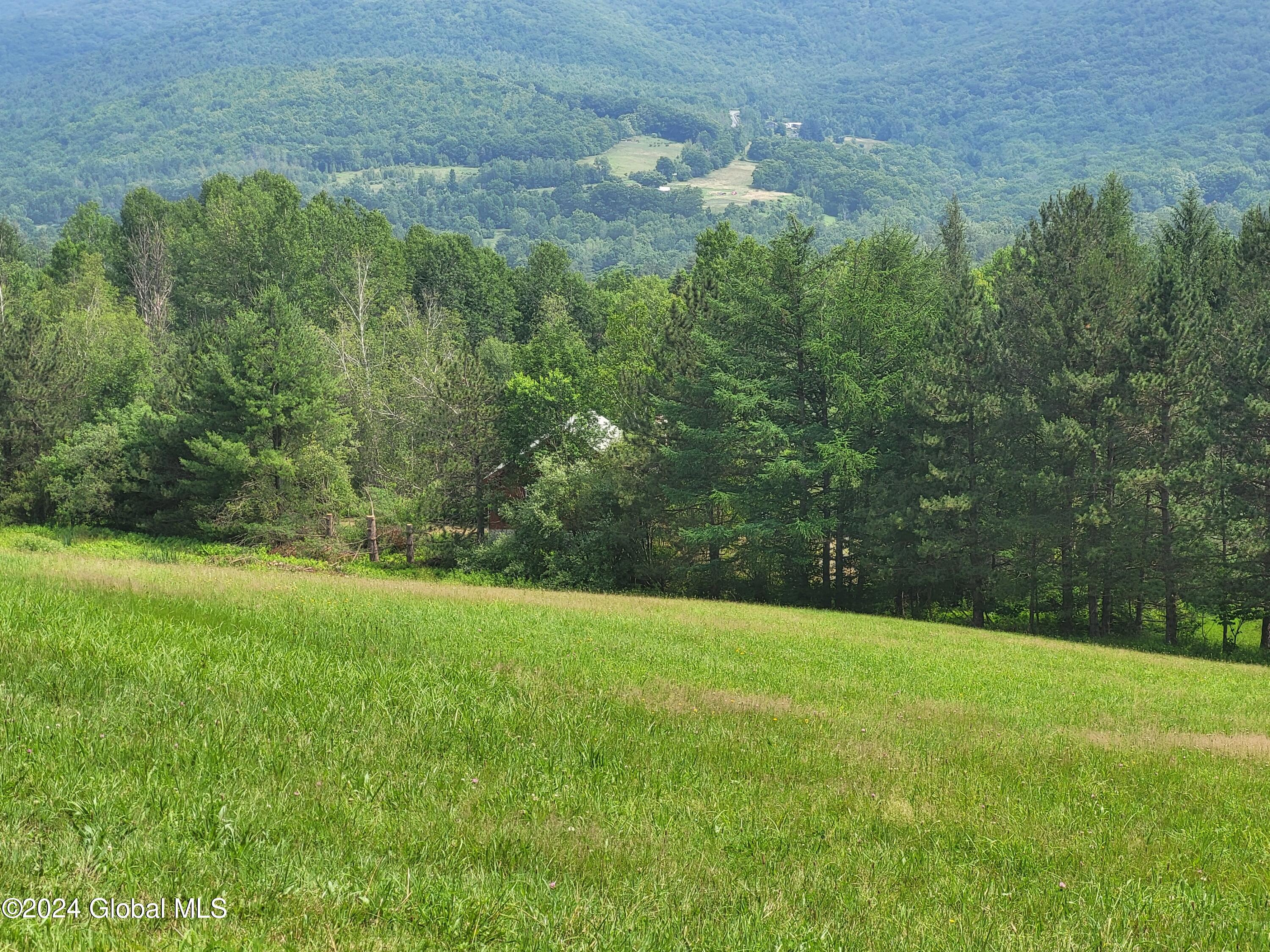 36 Canfield Rd. Road, Petersburgh, New York image 29