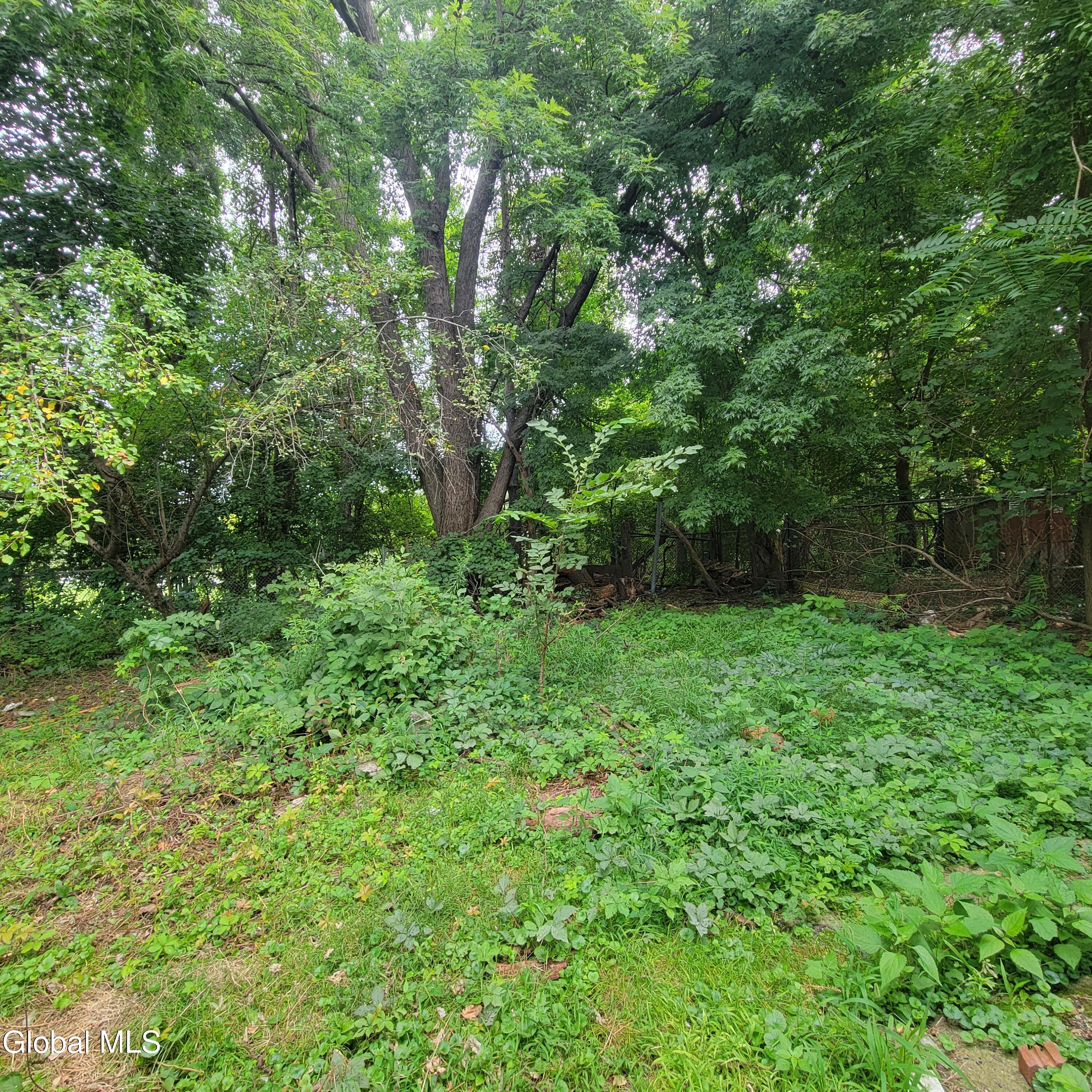239 Colonie Street