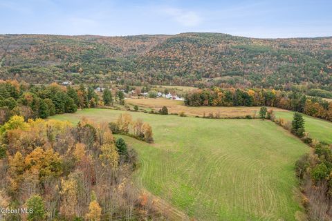 Photo of 171 Westkill Road, Blenheim, NY 12131 (MLS # 202528277) Photo of 171 Westkill Road, Blenheim, NY 12131 (MLS # 202528277)
