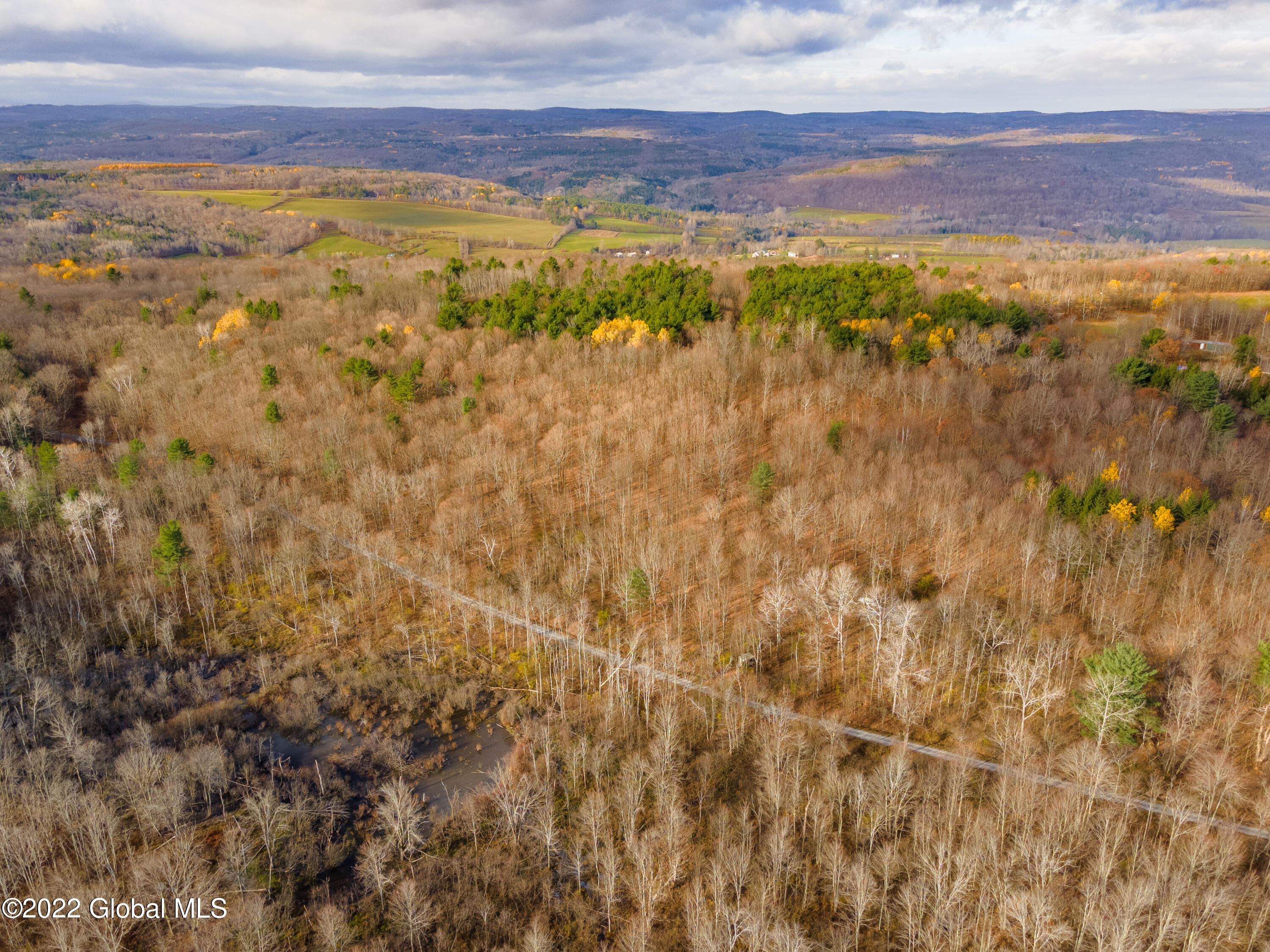 L4 W Woodstock Road, Berne, New York image 5