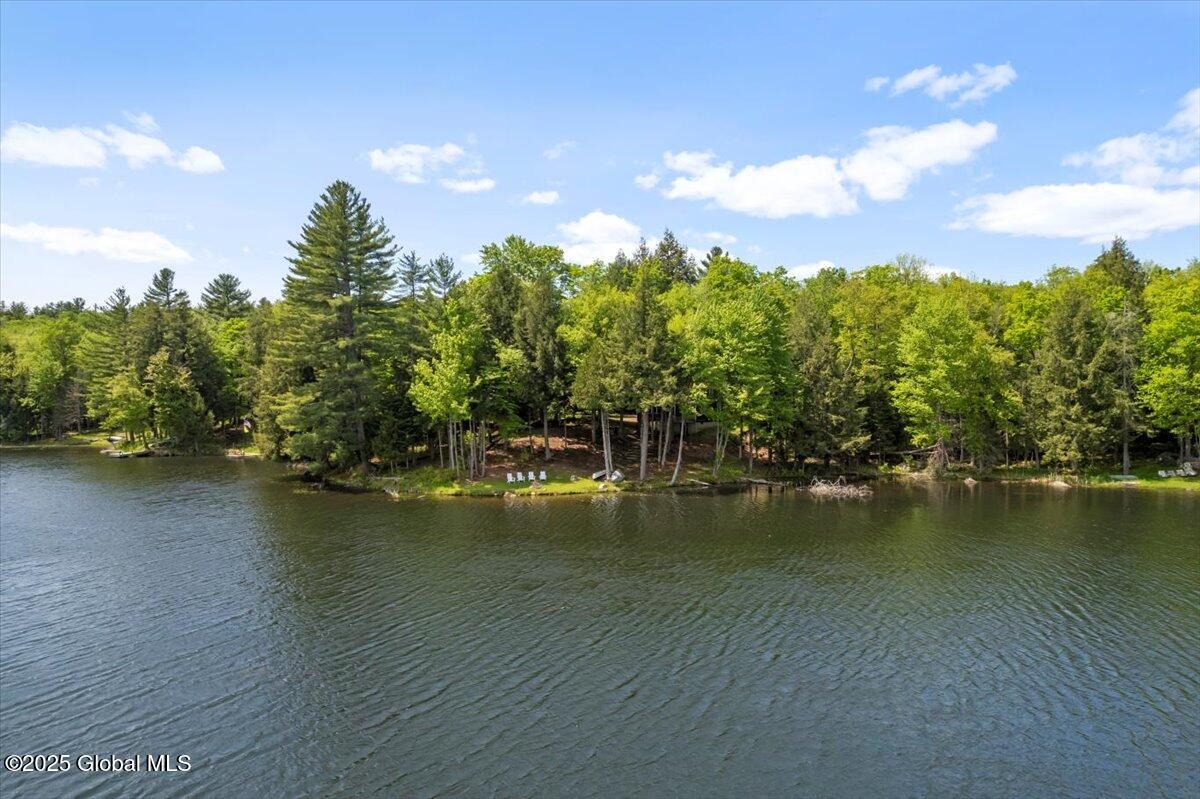 50 Shore Way, Olmstedville, New York image 18