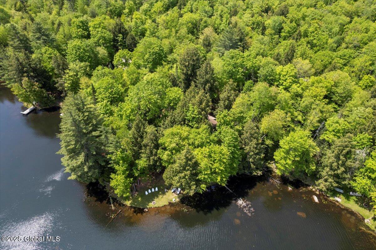 50 Shore Way, Olmstedville, New York image 6