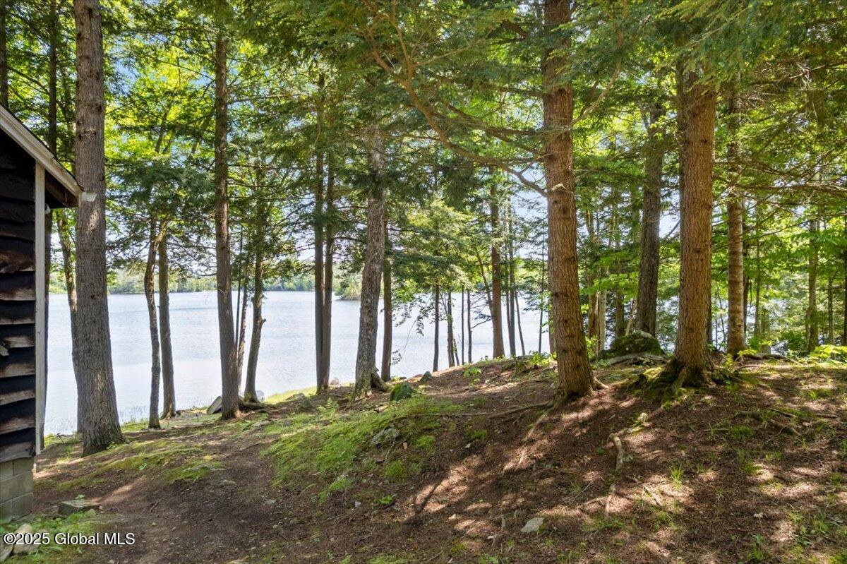 50 Shore Way, Olmstedville, New York image 20