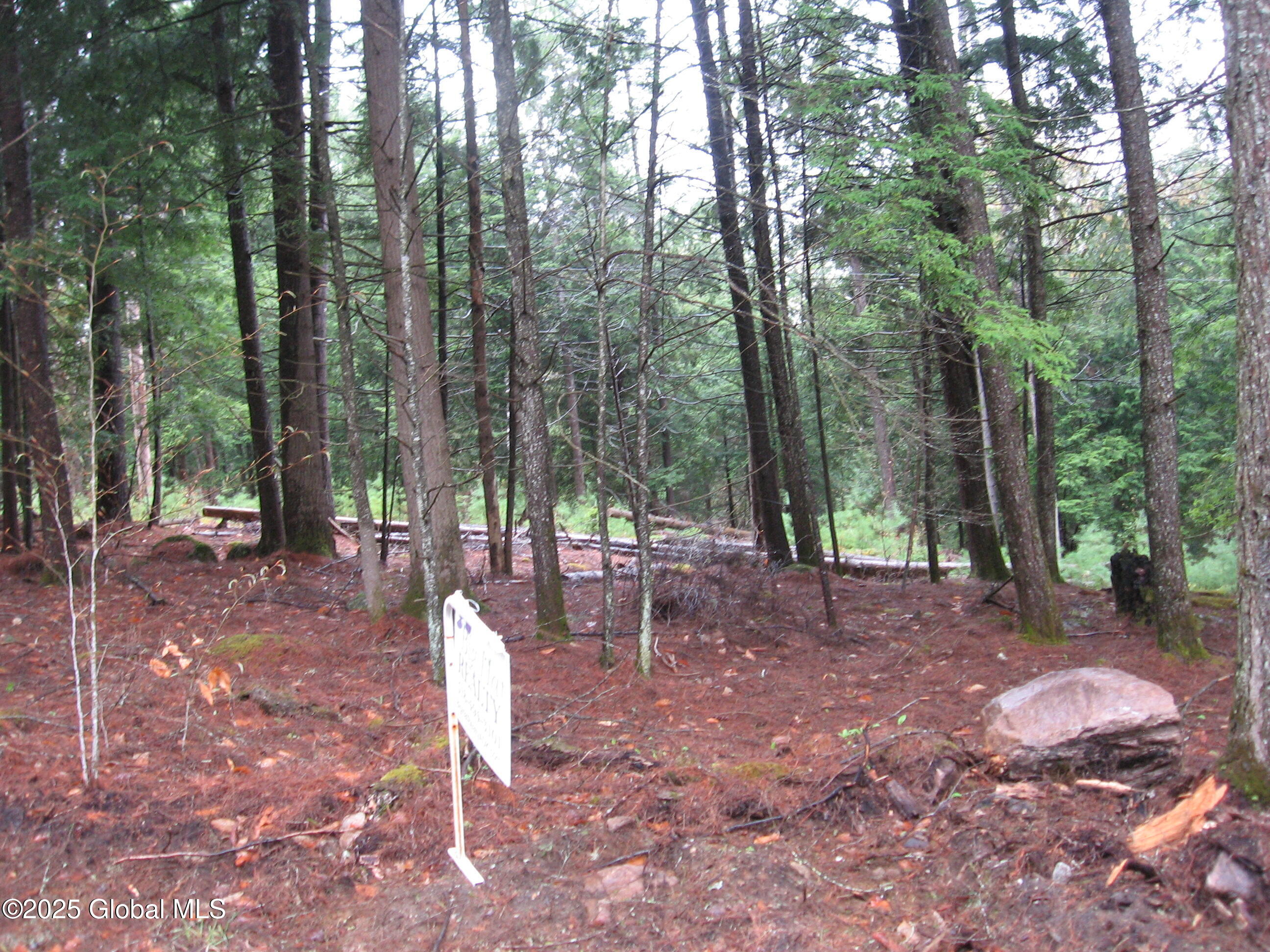 1379 Valentine Pond Road #5, Adirondack, New York image 1