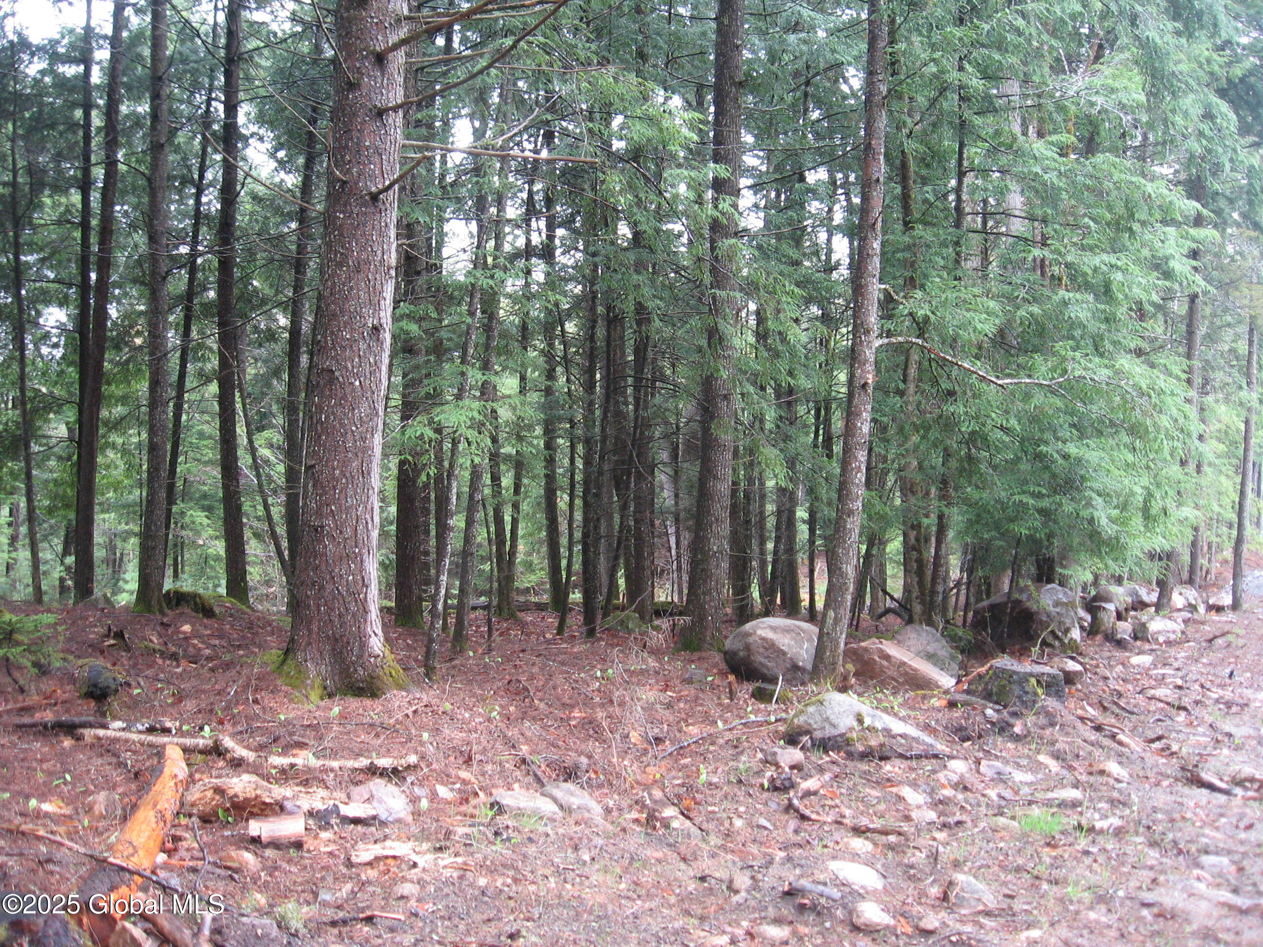 1379 Valentine Pond Road #5, Adirondack, New York image 2