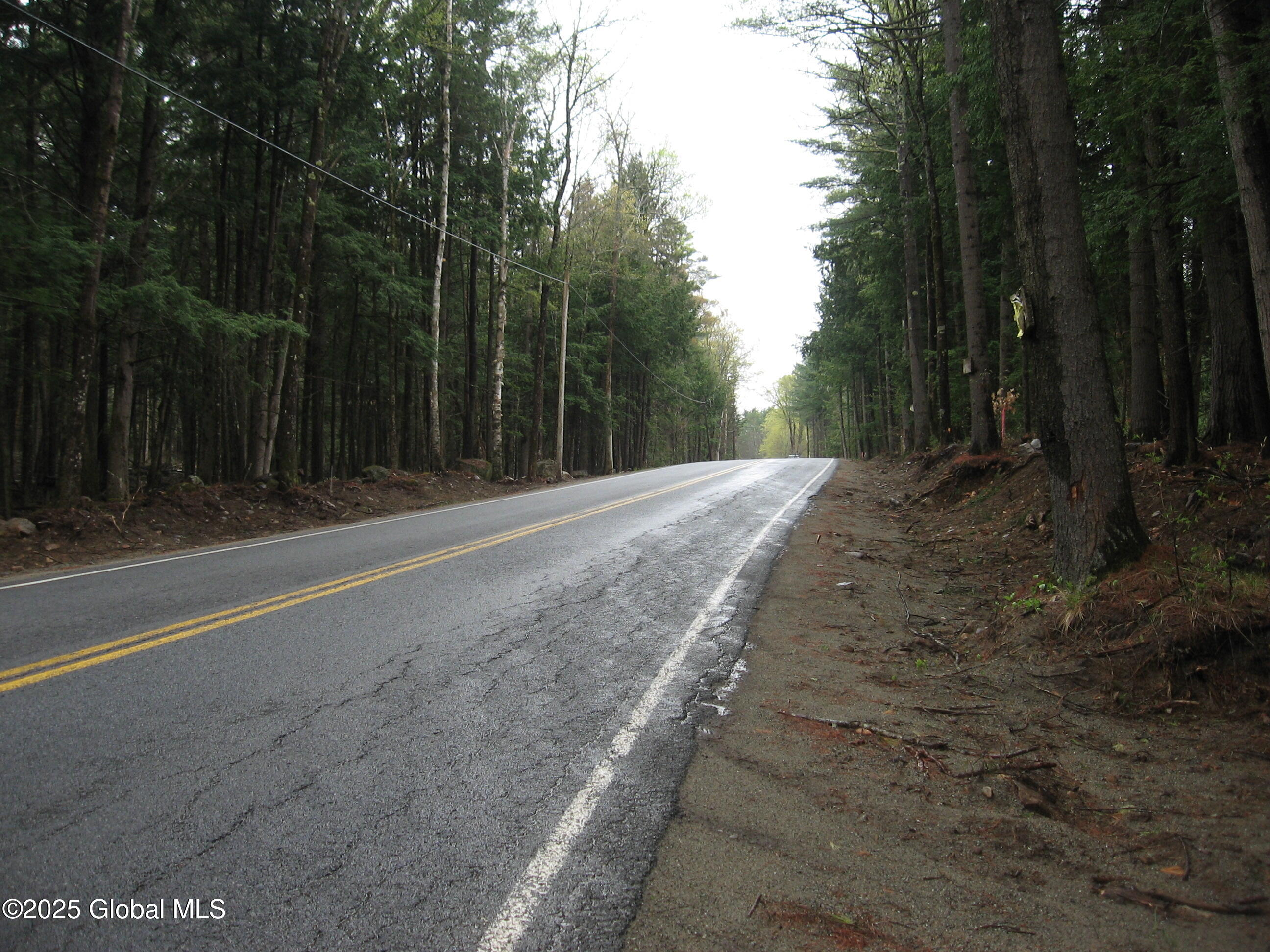 1379 Valentine Pond Road #5, Adirondack, New York image 4