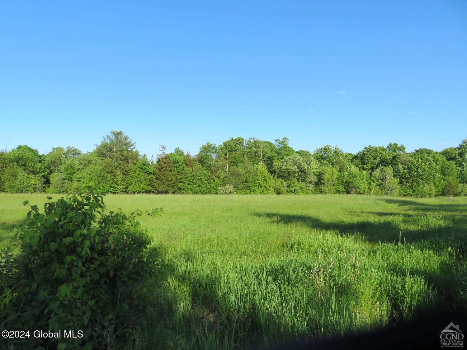 County Route 411, Greenville, New York image 1