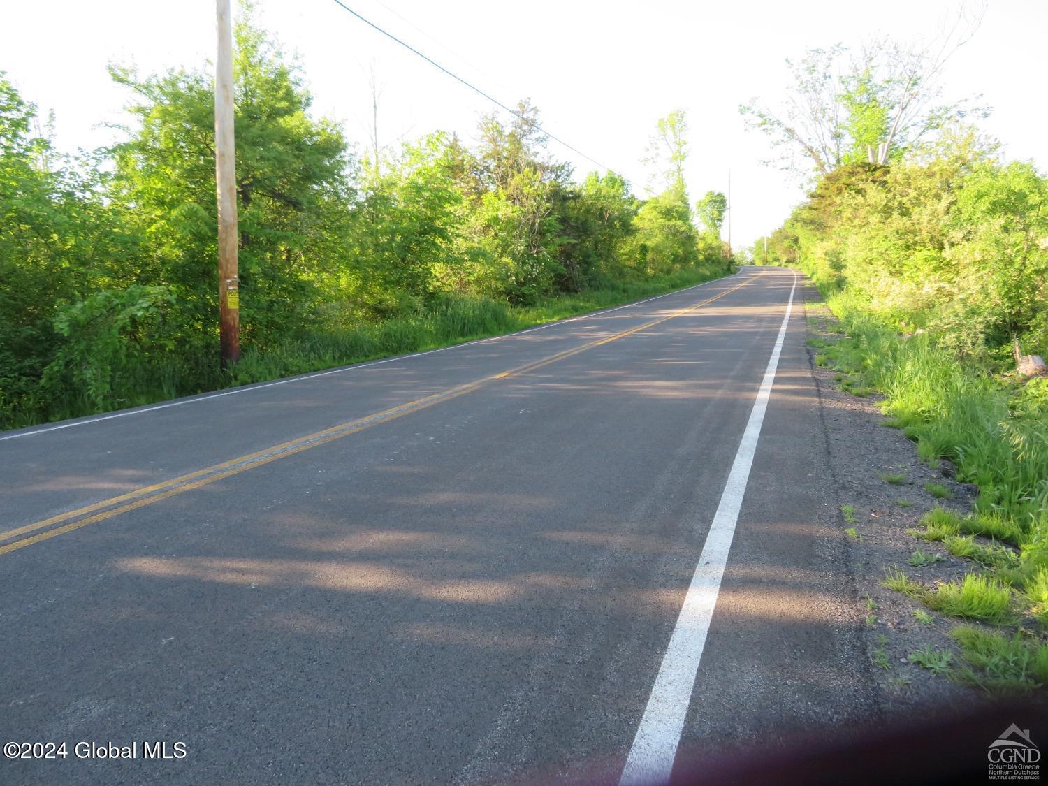 County Route 411, Greenville, New York image 4