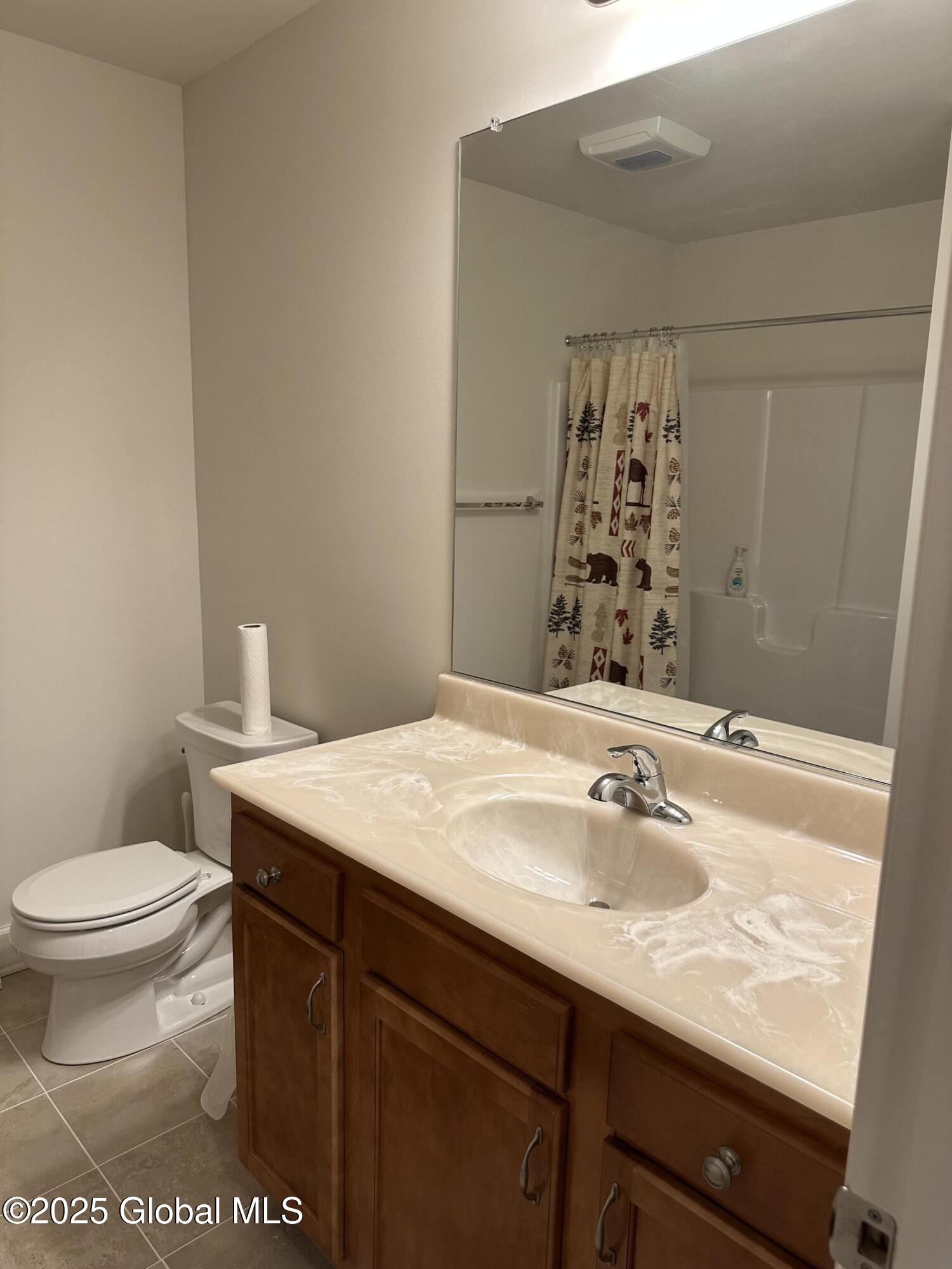 9 Andriana Lane, Albany, New York image 19