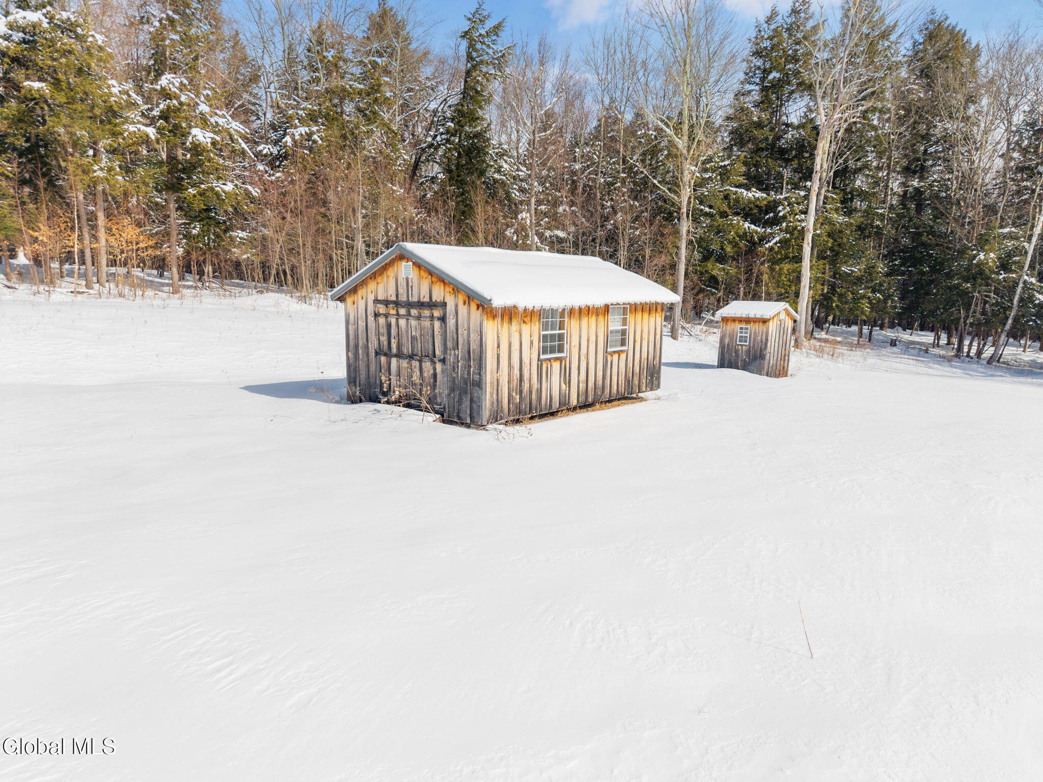 L21.111 Shenendoah Drive