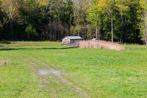 Vacant Land For Sale - L21.111 Shenendoah Drive<br/> Sloansville, NY 12160