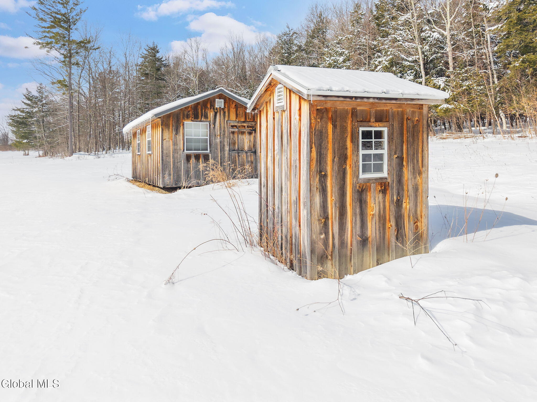 L21.111 Shenendoah Drive