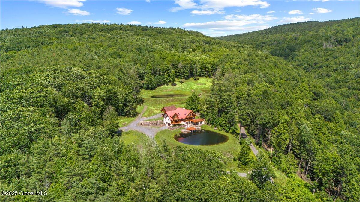 165 Vaughn Hill Rd Rd, Middleburgh, New York image 2