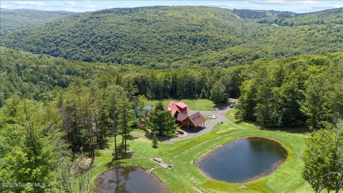 165 Vaughn Hill Rd Rd, Middleburgh, New York image 45