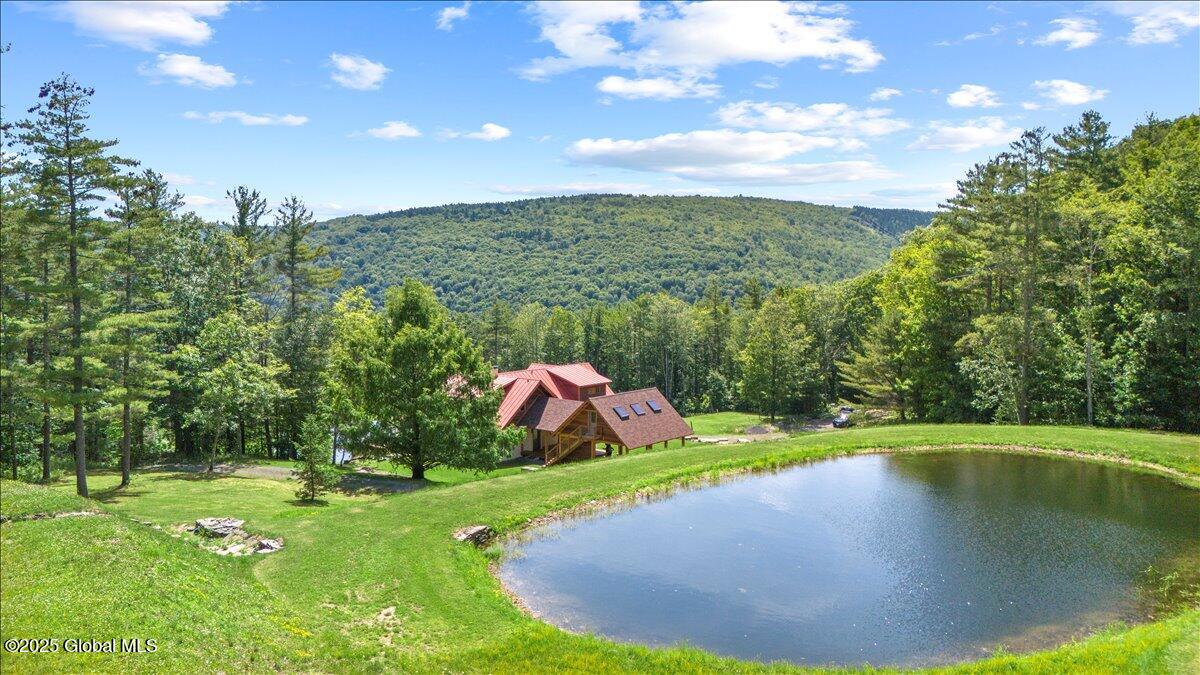 165 Vaughn Hill Rd Rd, Middleburgh, New York image 3