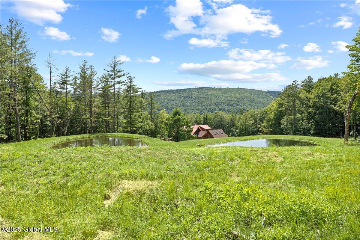 165 Vaughn Hill Rd Rd, Middleburgh, New York image 44