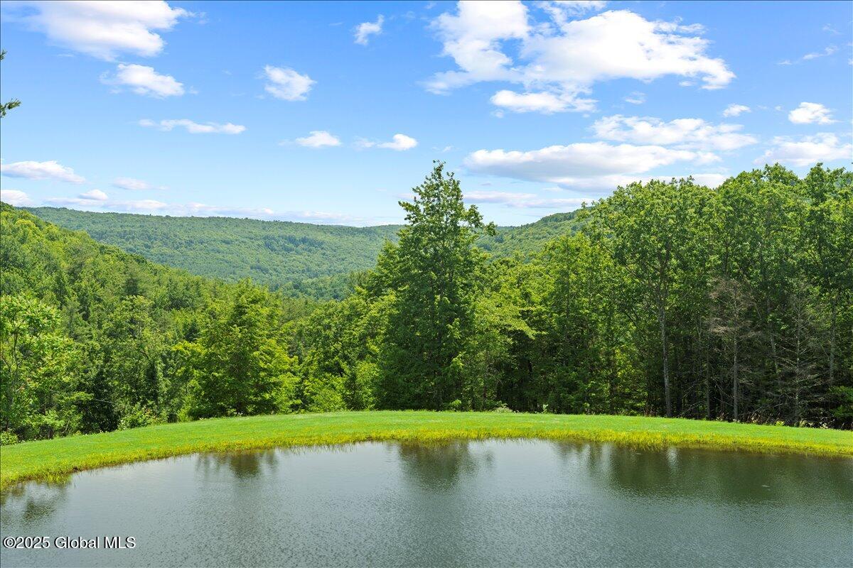 165 Vaughn Hill Rd Rd, Middleburgh, New York image 36