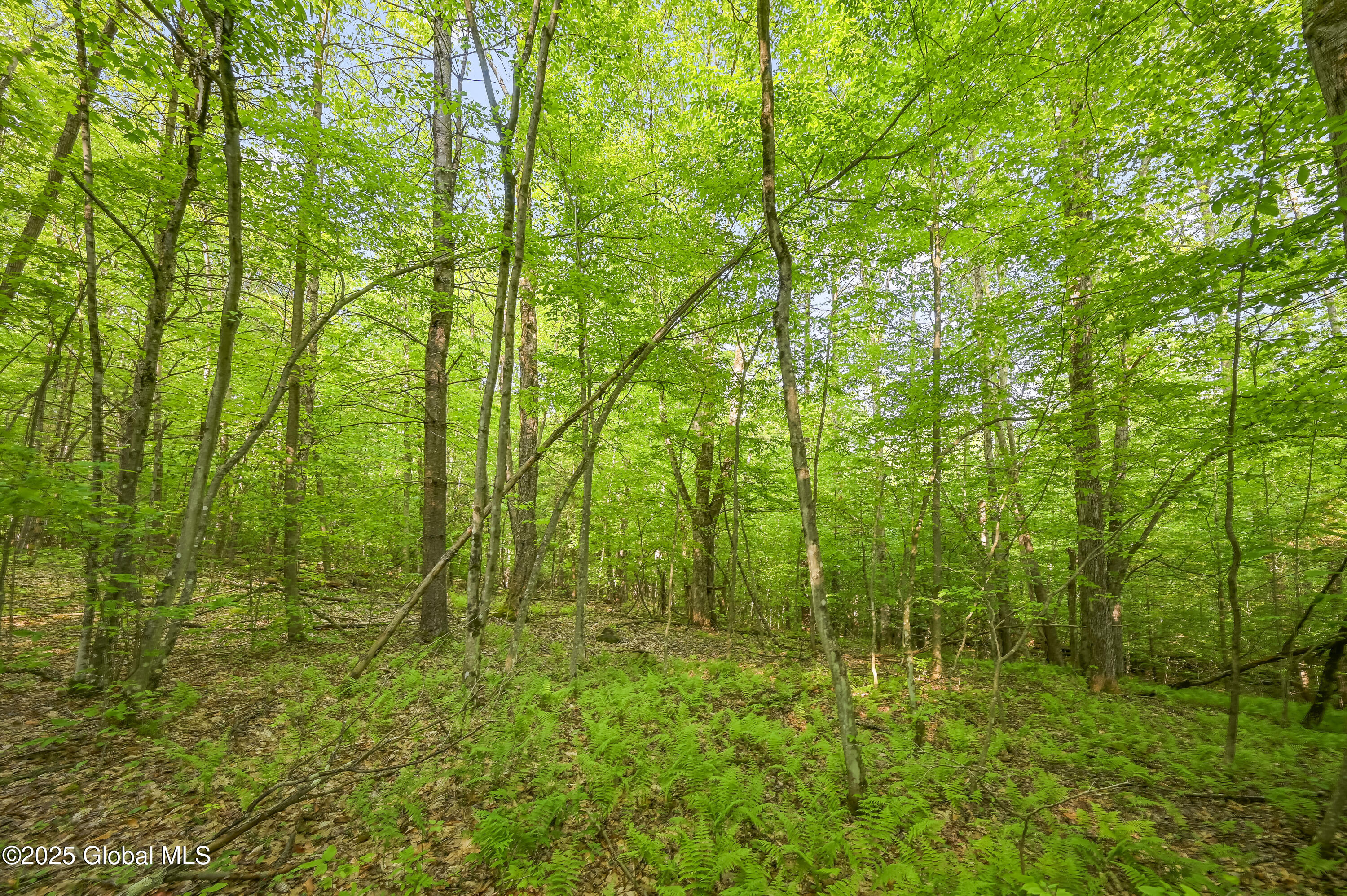 L22.22 Mud Road, Laurens, New York image 16