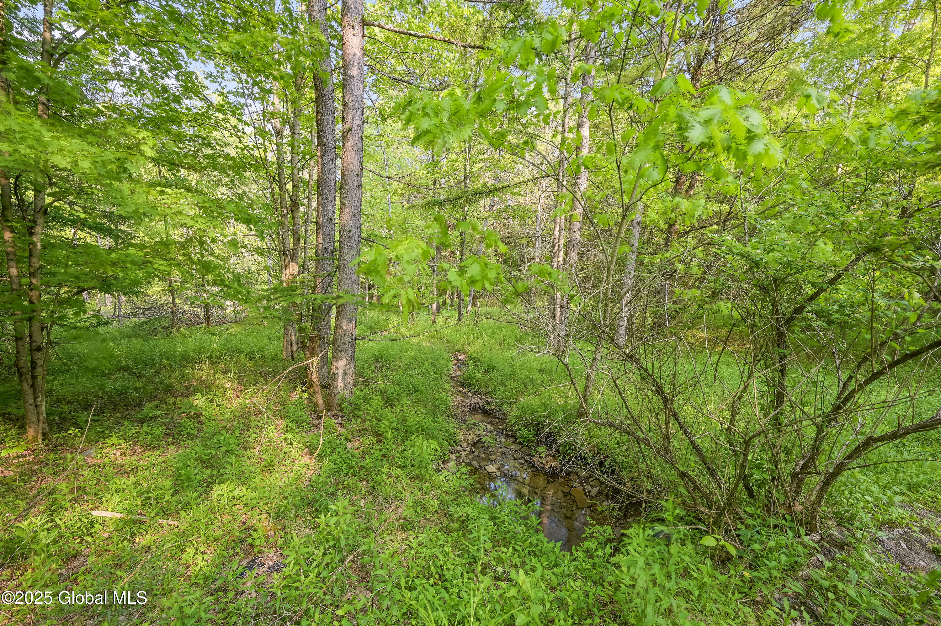 L22.22 Mud Road, Laurens, New York image 3