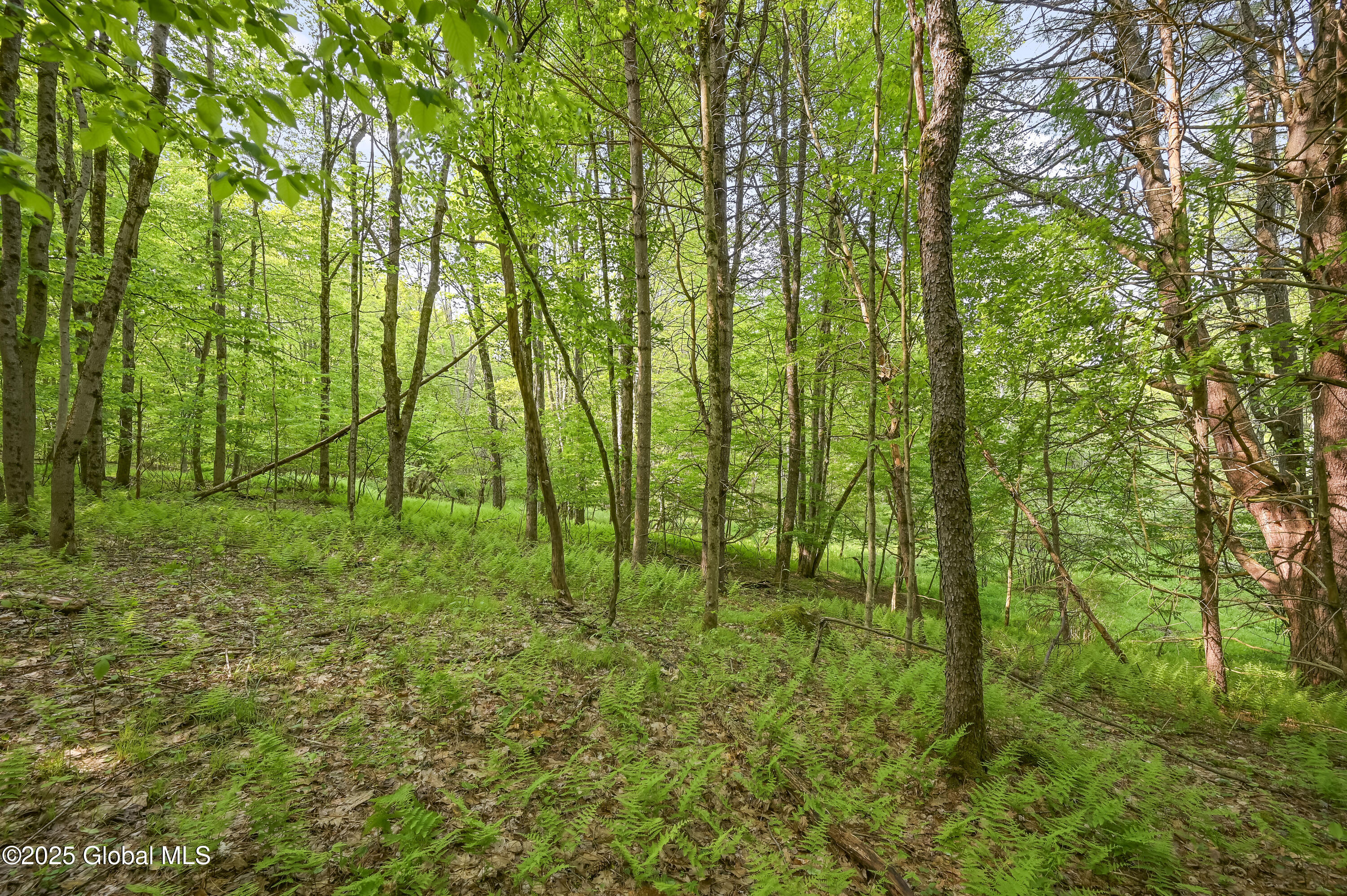 L22.22 Mud Road, Laurens, New York image 9