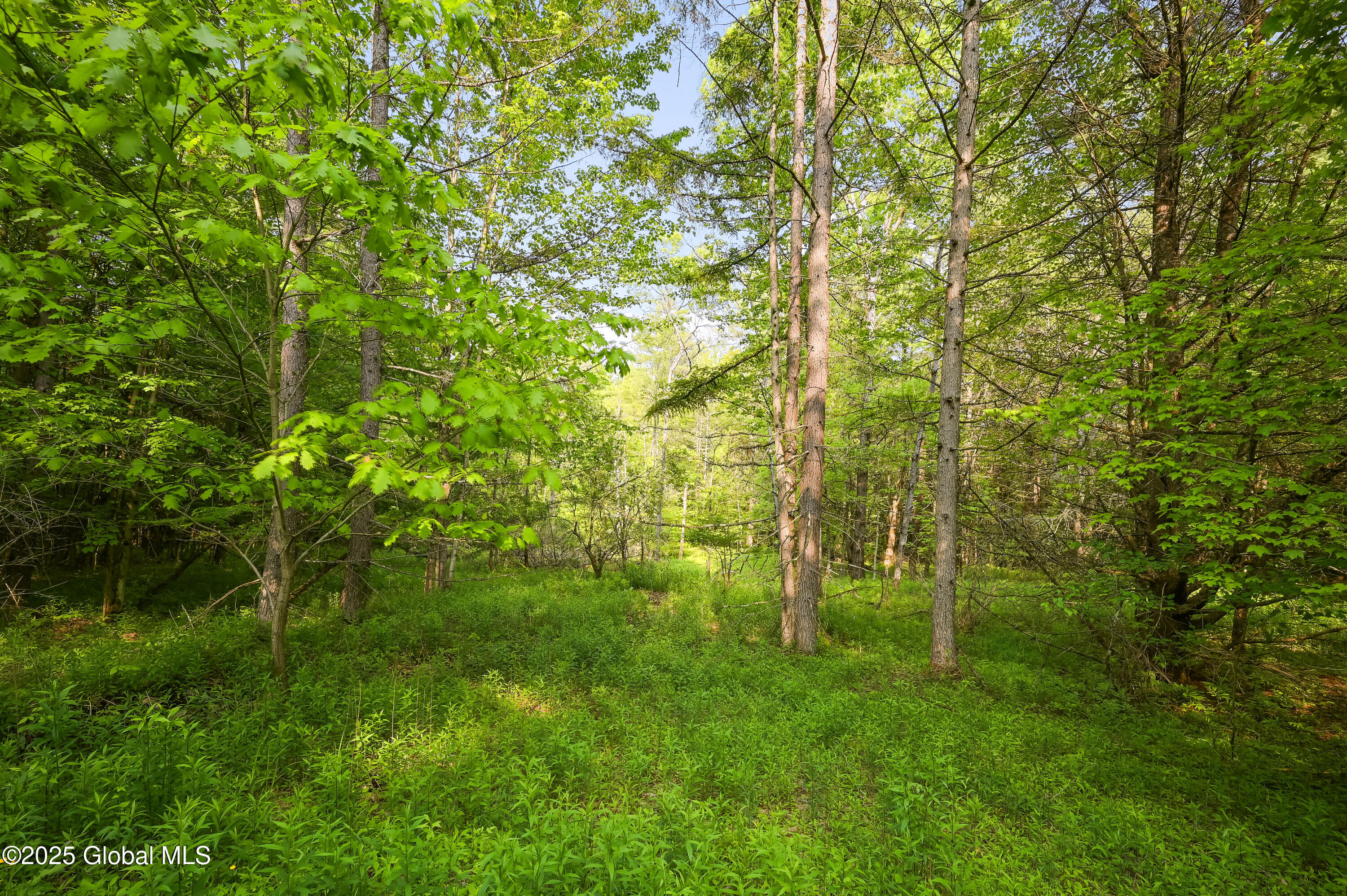 L22.22 Mud Road, Laurens, New York image 2