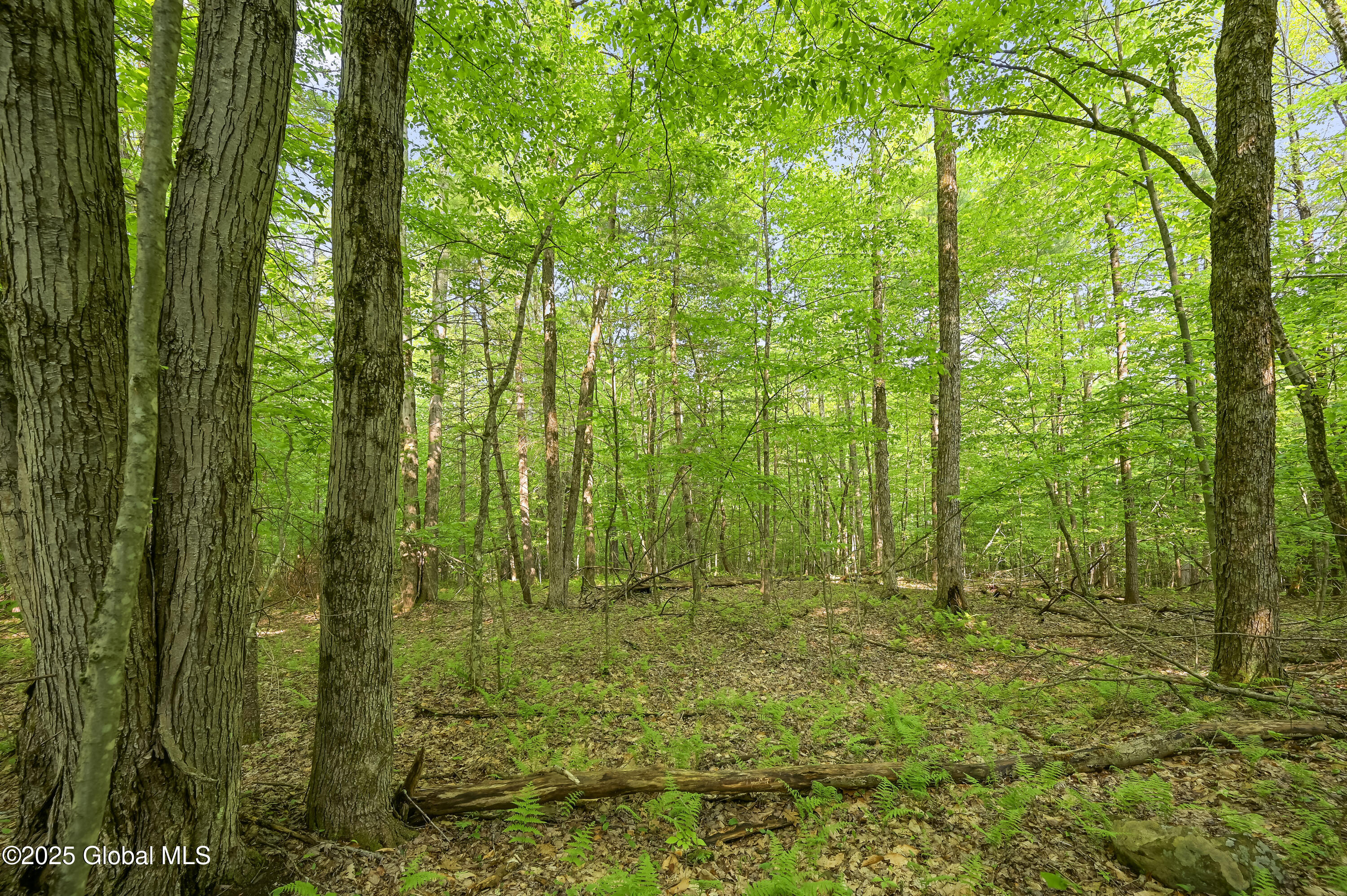 L22.22 Mud Road, Laurens, New York image 14