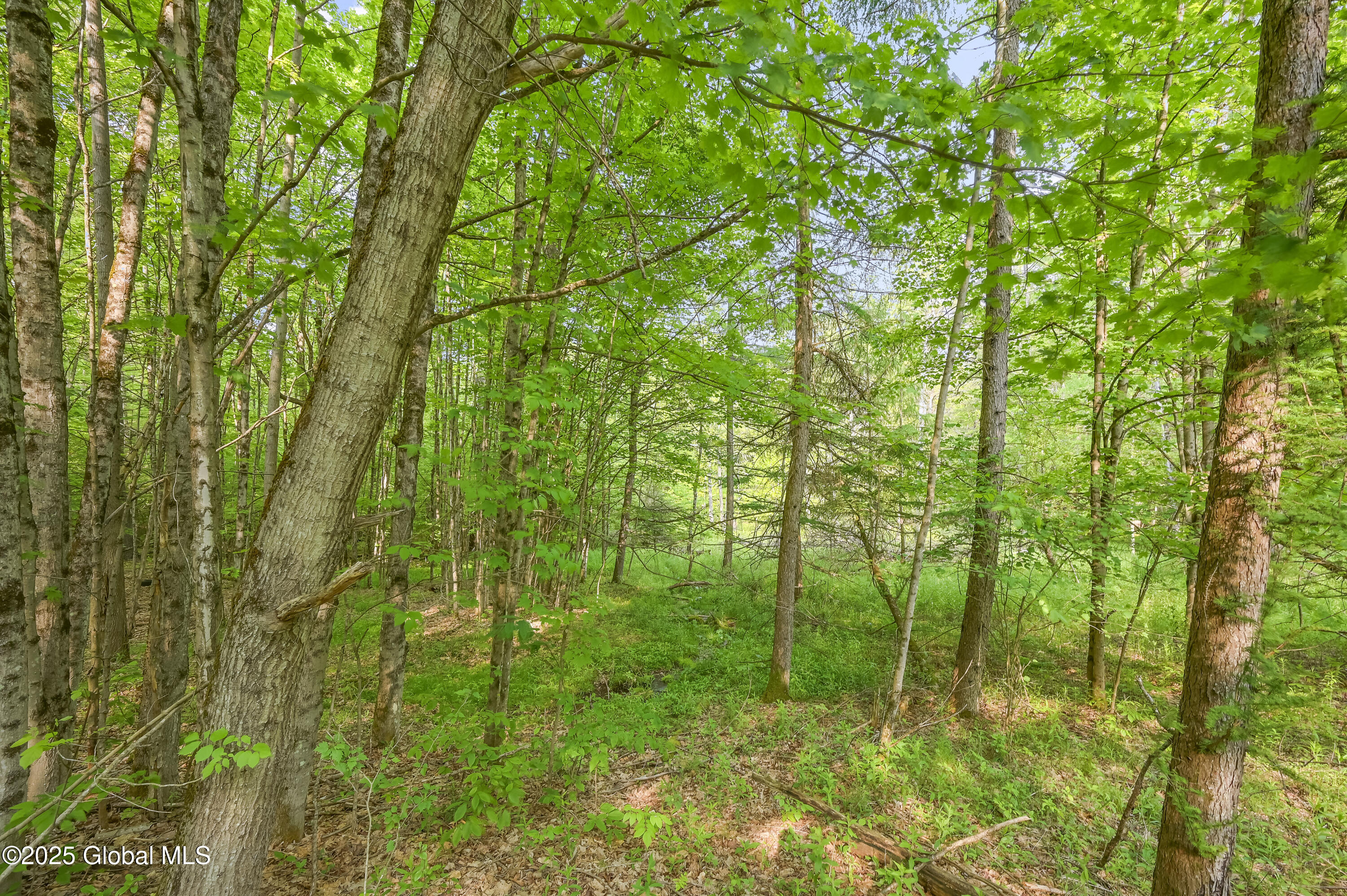 L22.22 Mud Road, Laurens, New York image 17