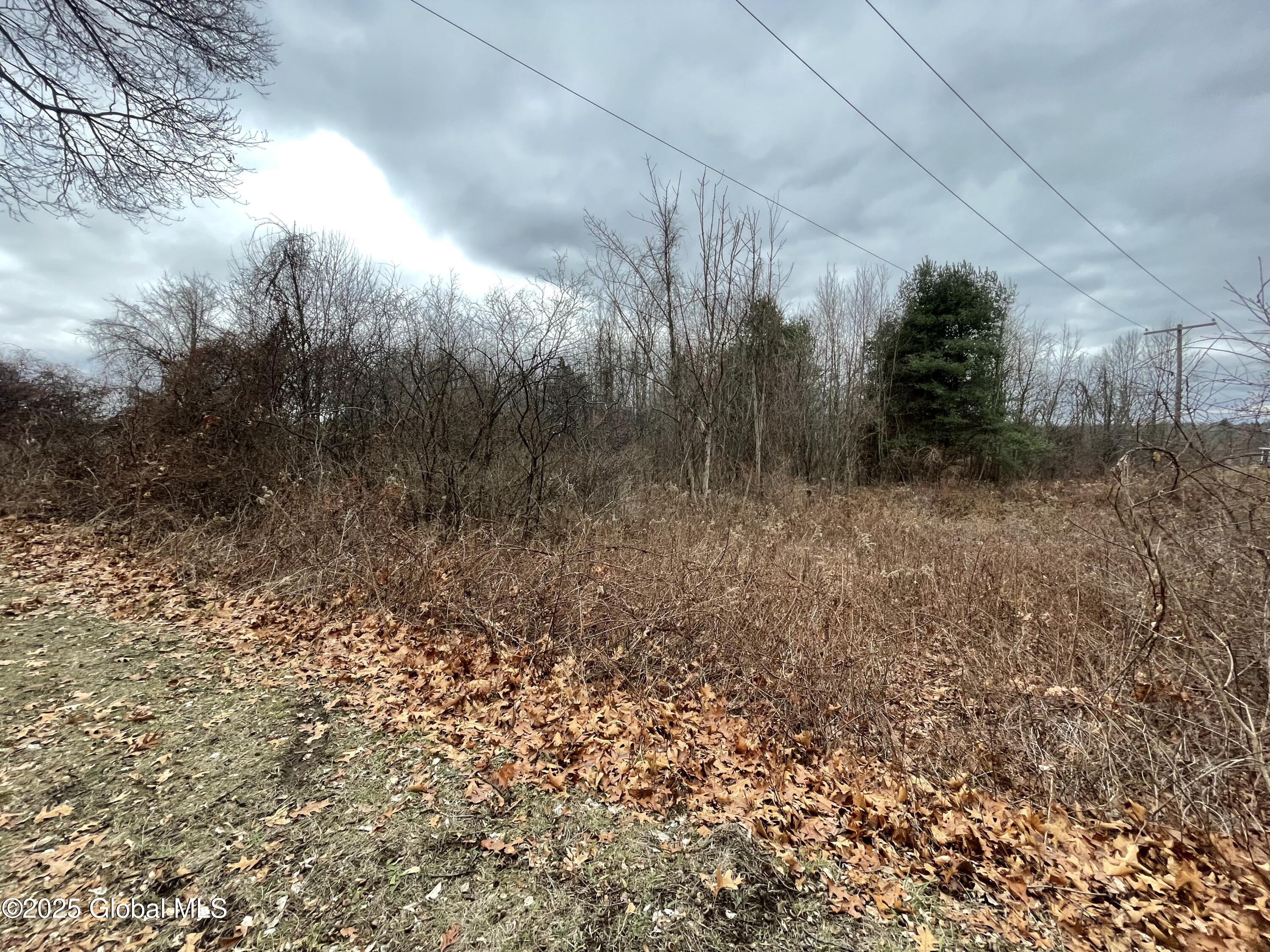 L13.1 Mcginty Drive, Selkirk, New York image 4