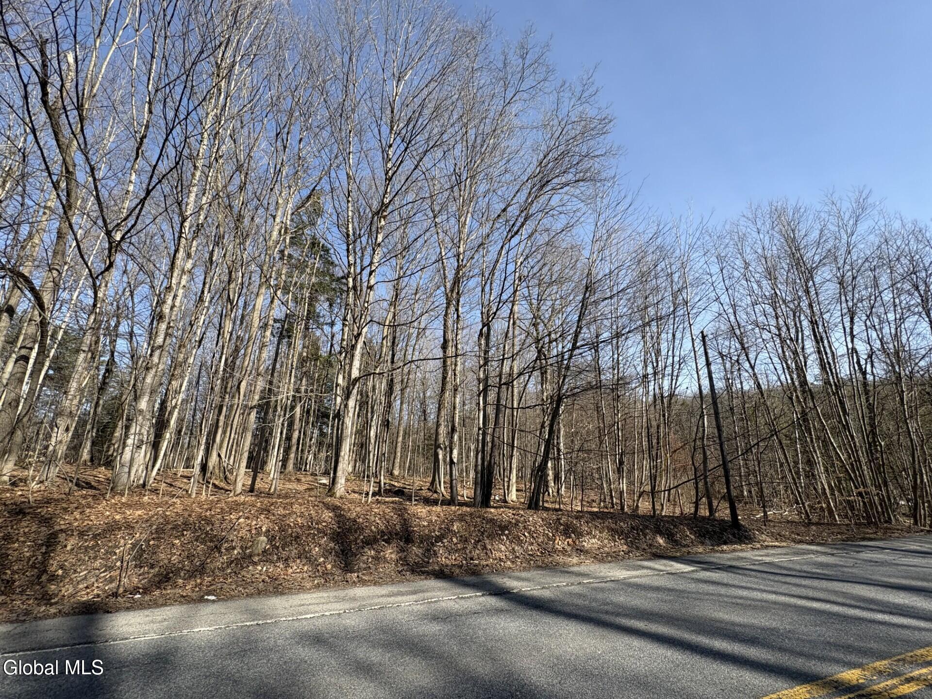 L 1 S Kingsboro Avenue