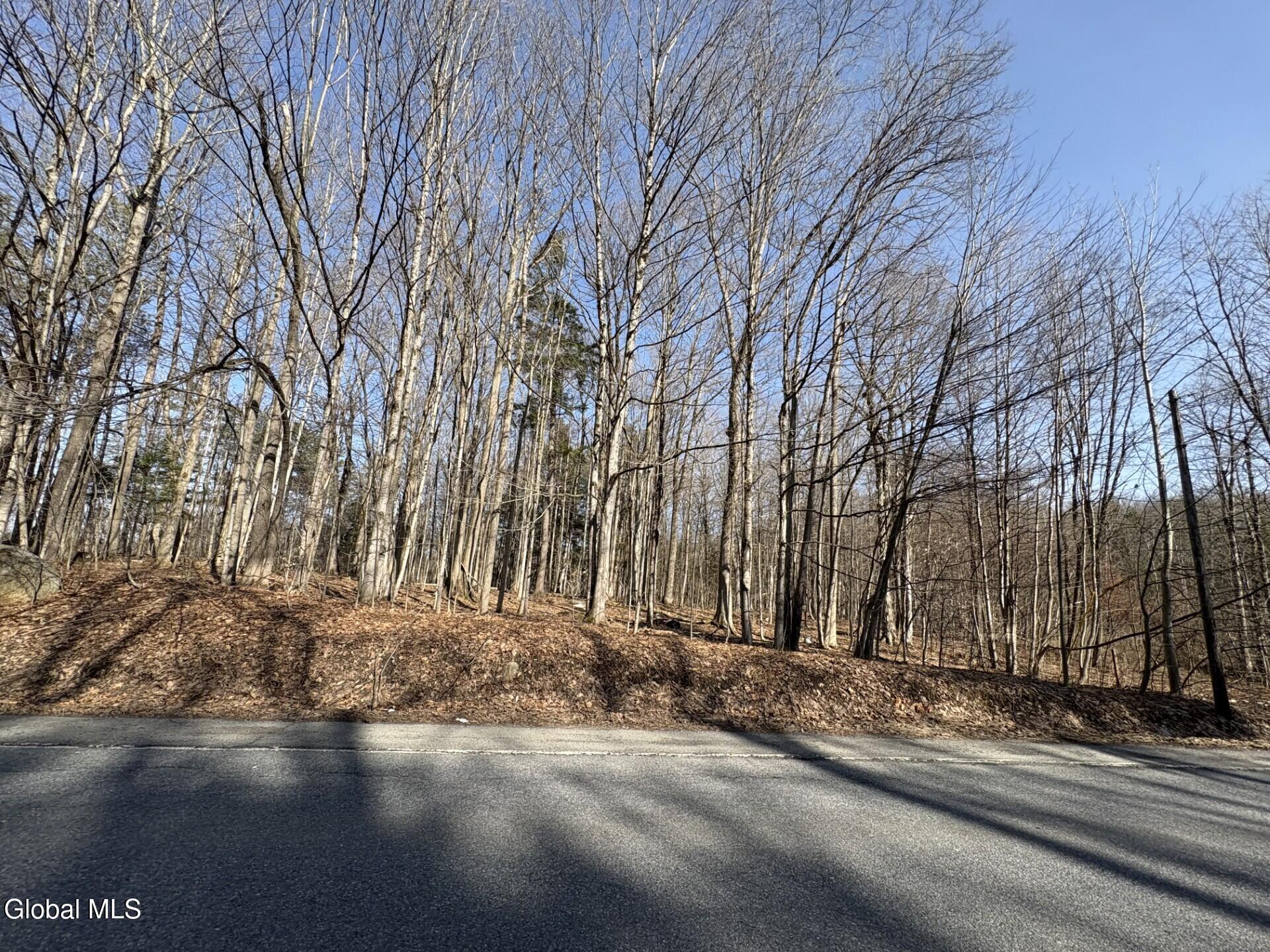 L 1 S Kingsboro Avenue