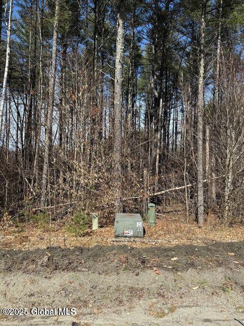 61 Snowshoe Ridge, Warrensburg, New York image 4